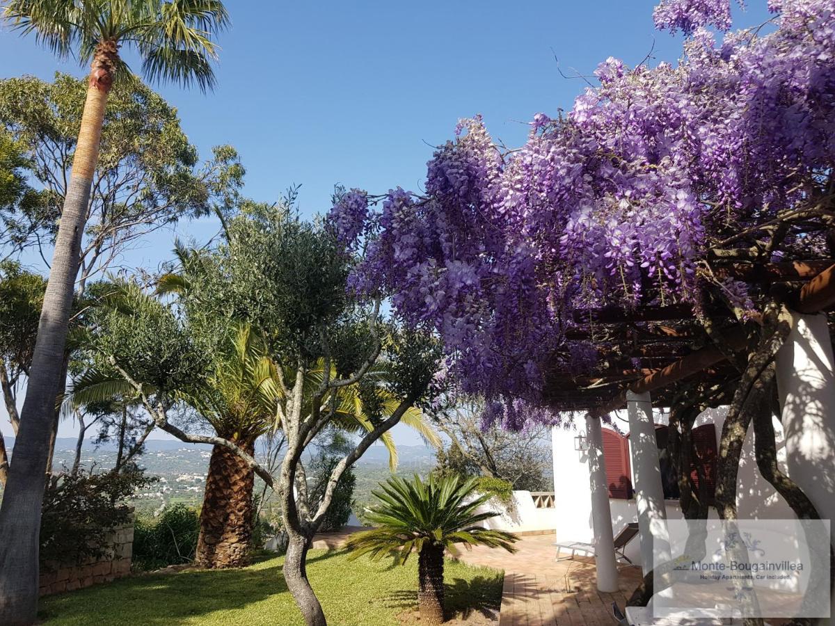 Monte-Bougainvillea Azinheiro Kültér fotó